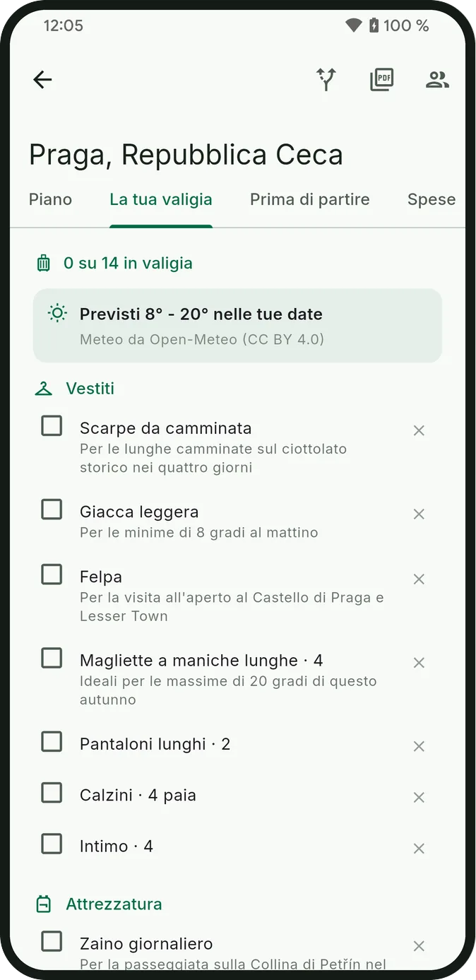 La lista dei bagagli del viaggio, raggruppata per categoria e con il motivo di ogni articolo