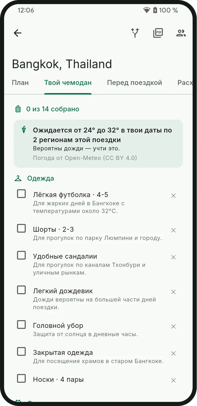 Список вещей для поездки, сгруппированный по категориям, с причиной для каждой вещи